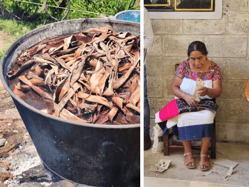 Collage of two images: Left—a cauldron filled with bark from sacred trees, boiling with lime and ash for traditional papermaking; Right—a Mexican healer woman seated, cutting paper figures as part of a ritual.